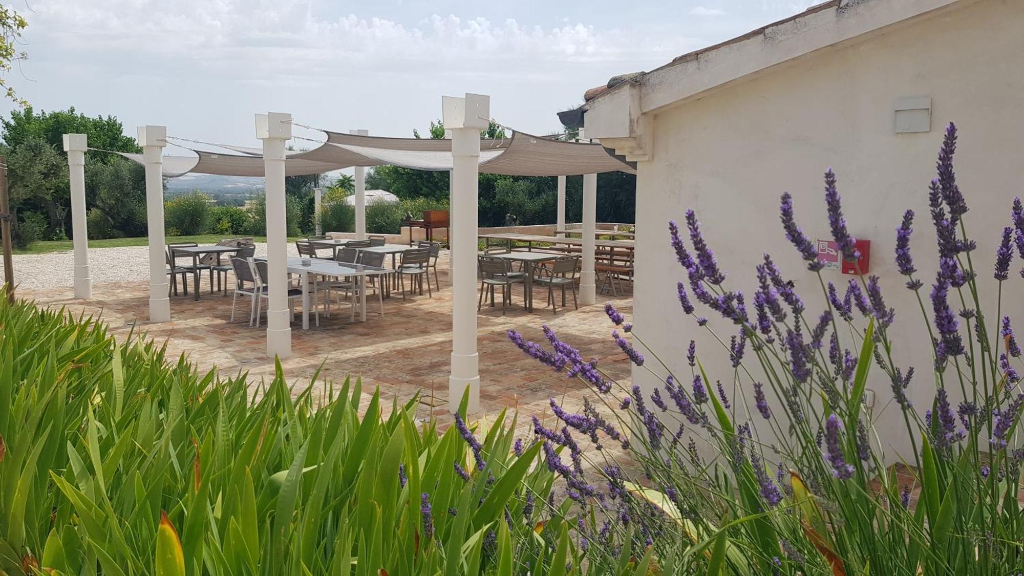 Villa Montefiore Country Resort Borghetto  ภายนอก รูปภาพ